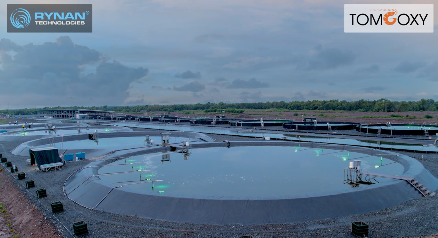 Mô Thức Nuôi Tôm Thẻ Thâm Canh TOMGOXY