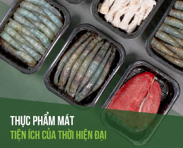 THỰC PHẨM MÁT, TIỆN ÍCH CHO THỜI HIỆN ĐẠI