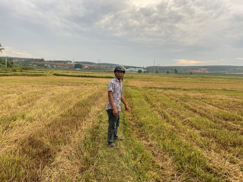 RA ĐỒNG ĂN TRỘM